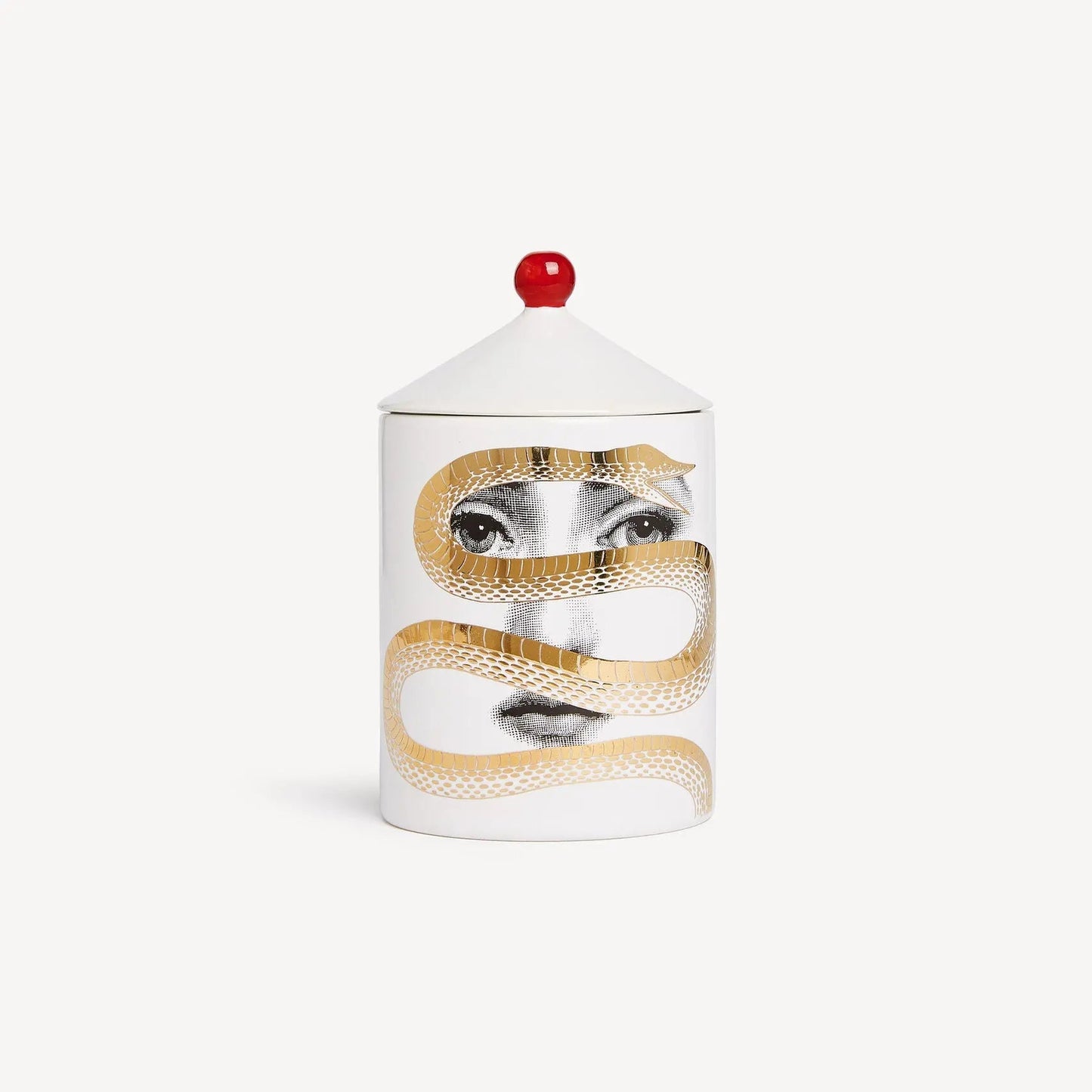 Wholesale Fornasetti SE POI candela Frutto Proibito 310gr | Carsha