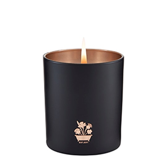 Candela della canzone del salice dell'isola nobile 200gr