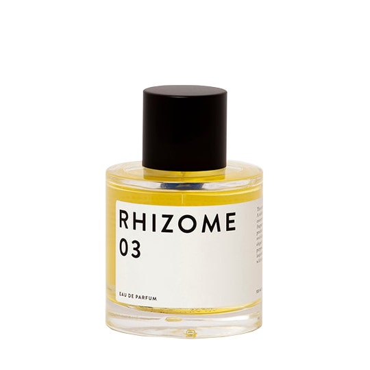 Wholesale Rhizome 03 Eau de Parfum - 100 ml | Carsha