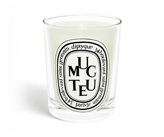 Transform Your Space: The Allure of Diptyque Muguet Candle for Fragrance Lovers | Carsha