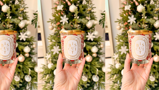 7 Reasons to Add Diptyque Biscuit Candle to Your Collection | Carsha