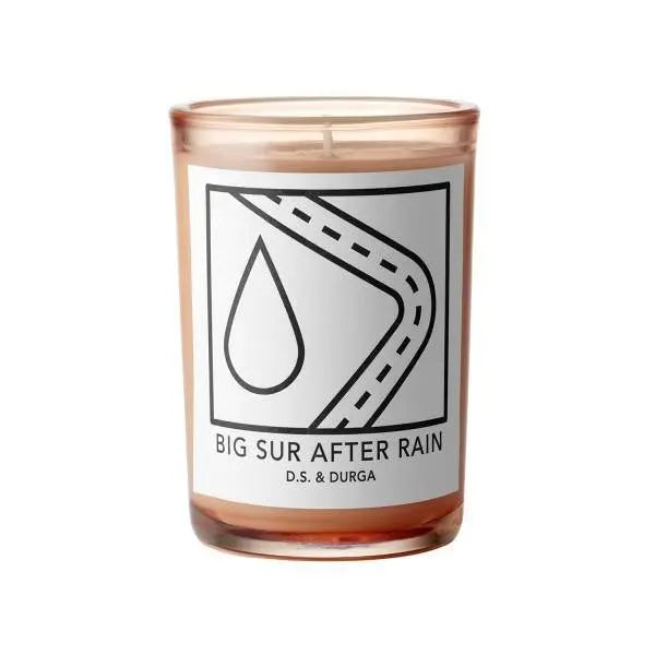 Wholesale D.s. & durga Big Sur After Rain candela 200g | Carsha