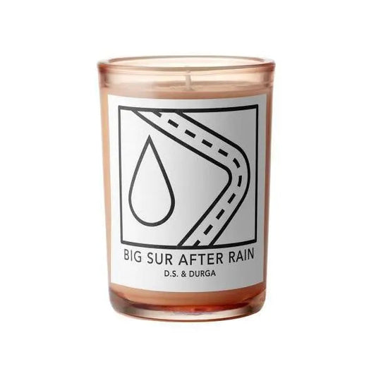 Wholesale D.s. & durga Big Sur After Rain candela 200g | Carsha