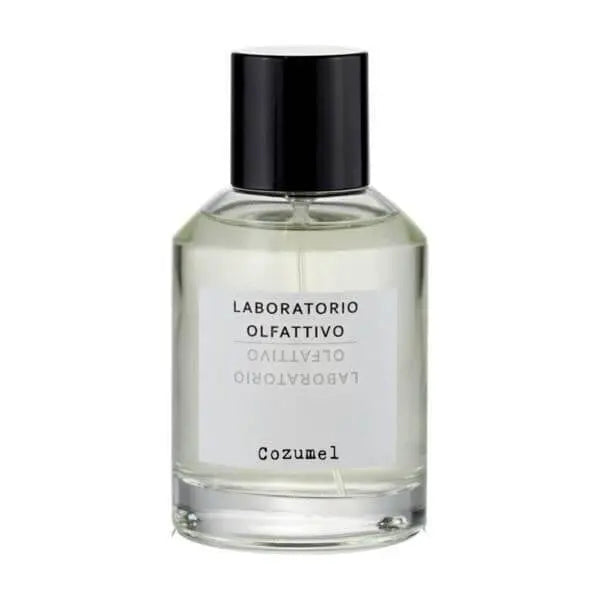 Wholesale Laboratorio olfattivo Cozumel Eau de Parfum 100 ml | Carsha