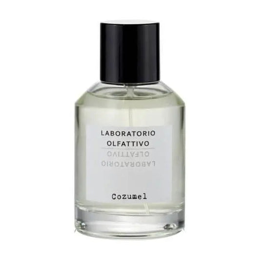 Wholesale Laboratorio olfattivo Cozumel Eau de Parfum 100 ml | Carsha