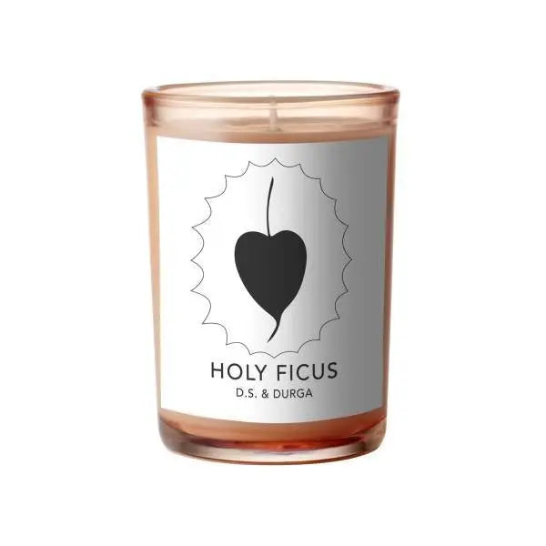 Wholesale D.s. & durga Santo Ficus 200 gr | Carsha