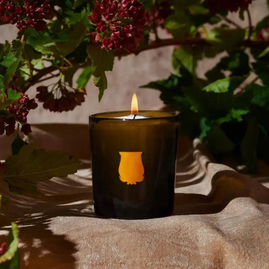 Trudon Odalisque Candela 270gr