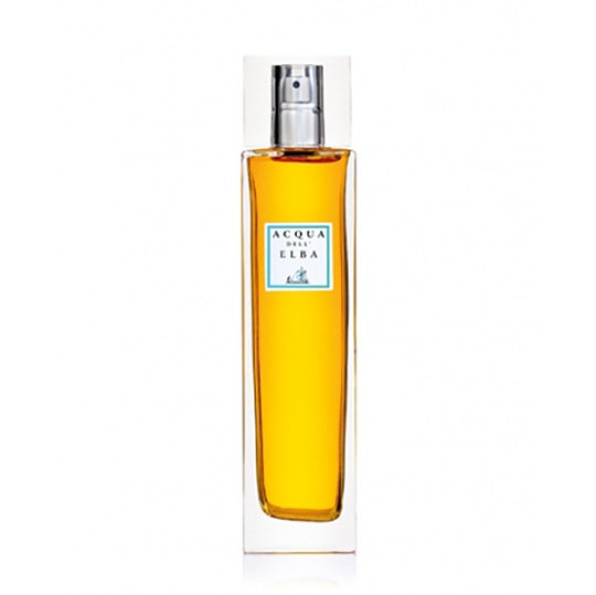 Wholesale Acqua dell'Elba Note di Natale Spray Ambiente 100ml | Carsha