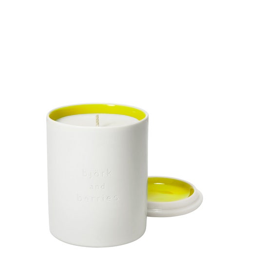 Wholesale Bjork & Berries Skord Scented Candela 240gr | Carsha