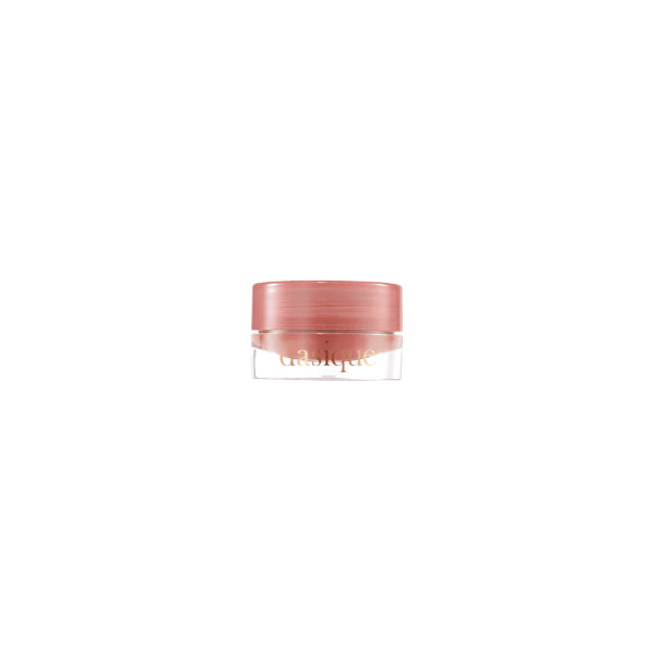 Wholesale Dasique - Fruity Lip Jam - 4g - 12 Jujube Jam | Carsha