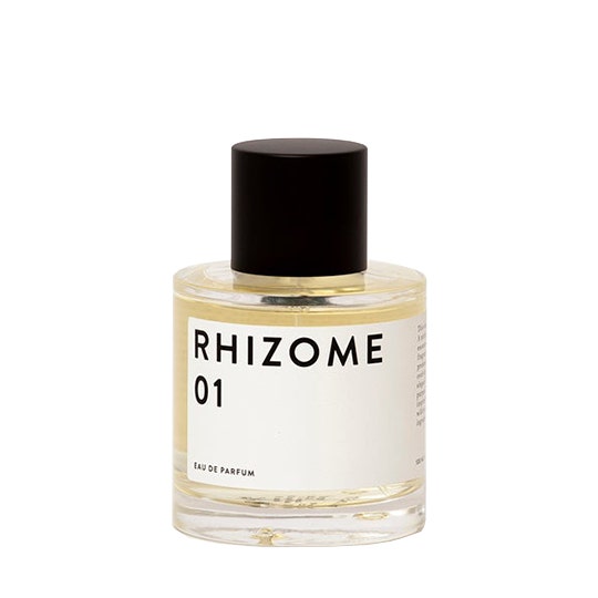 Wholesale Rhizome 01 Eau de Parfum - 100 ml | Carsha