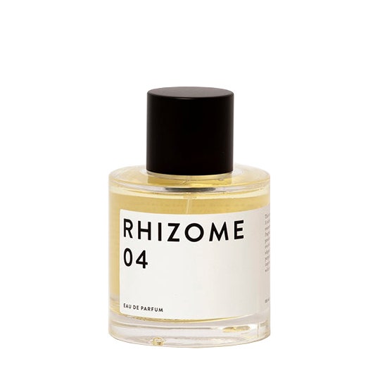 Wholesale Rhizome 04 Eau de Parfum - 100 ml | Carsha