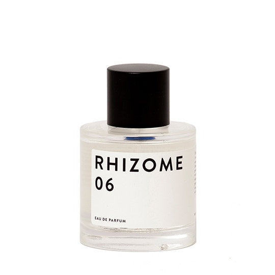 Wholesale Rhizome 06 Eau de Parfum - 100 ml | Carsha
