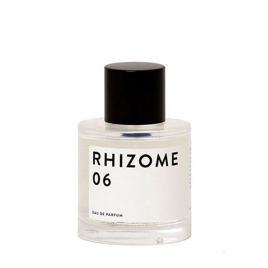 Wholesale Rhizome 06 Eau de Parfum - 100 ml | Carsha