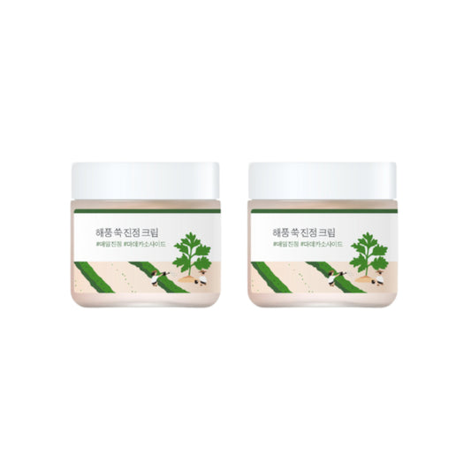 Wholesale Round Lab - Mugwort Calming Cream - 80ml 2ea Set | Carsha